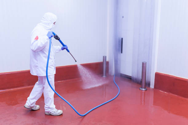 Boat and Dock Cleaning in Zebulon, GA